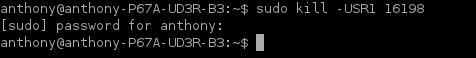 send_USR1_dd_process